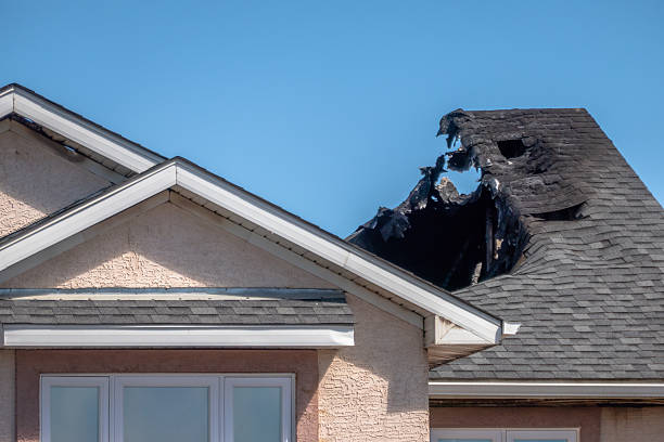 Top rated local Structural Rebuild specialists in Webster, FL